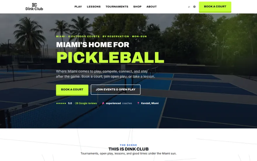 The Dink Club home page